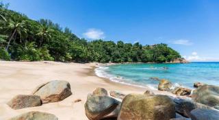 MT Hotel Patong - Patong - 7
