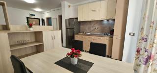 Azizi Beachfront Spa & Pool Resort langa plaja Gym - Mamaia Sat/Năvodari - 5