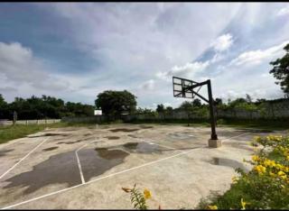 The Purrfect Stay - 3