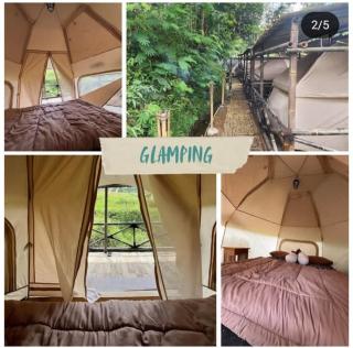 Glamping Tent - - 8