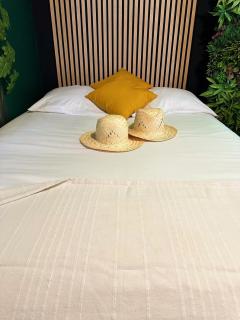 Jungle Suite ,Terrasse, Wi-Fi & Parking PV - Lunel - 7