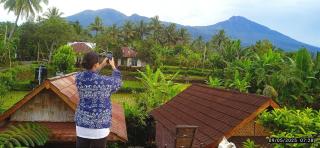 Ariel Bungalow Tetebatu - Tetebatu - 8