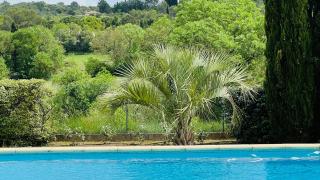 Spacieuse villa avec piscine et grand jardin - Montarnaud - 2
