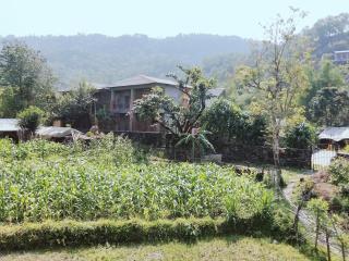 Home stay - Pokhara - 5