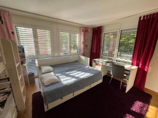 Bed and breakfast in Zug, between Zürich and Lucern - Zugo - 7