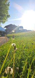 Das Kaiserwohl Chalet - Going am Wilden Kaiser - 7