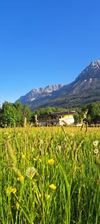 Das Kaiserwohl Chalet - Going am Wilden Kaiser - 5
