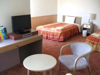 Shizuoka Daiichi Hotel - Shizuoka - 3