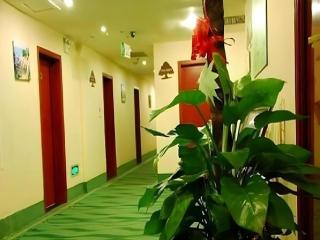 GreenTree Inn Beijing South Railway Station Tiantan Puhuangyu - Pechino - 5