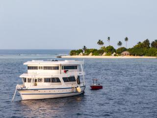 The Maverick Surf & Dive Lodge - Laamu - 9
