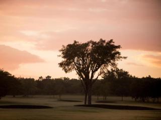 Nkonyeni Lodge & Golf Estate - Ngwempisi - 2