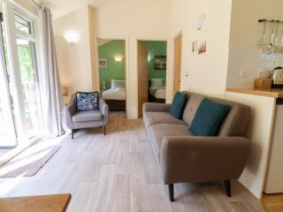 Chalet Log Cabin L6 - Ilfracombe - 8
