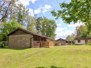 Chalet Log Cabin L6 - Ilfracombe - 1