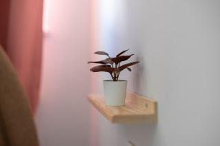 2 Bed Ethnic Vibe A Unique Stay Close to Kaleici - Antalya (Adalia) - 5