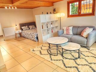 Studio Cosy au Cœur des Alpes - Arenthon - 0