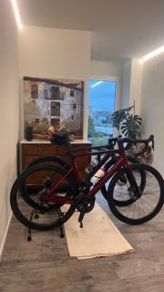 JASALPI único apartamento delante del Lago de Banyoles - Banyoles - 8