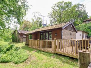 Chalet Log Cabin C8 - Ilfracombe - 0