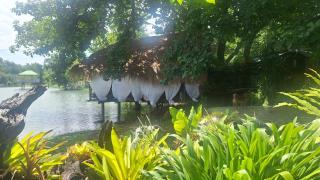 บ้านกลางโดม Baan Klang Dome - - 6