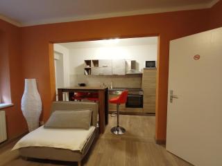 kleine 1-Raum-Ferienwohnung mit hohem Komfort - Teuchern - 2