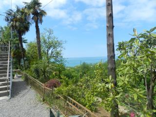 Jintcharadze Inn - Makhinjauri - 4