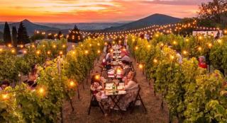 Wine & Ginger - Villa Luxury x8 - Monticelli Brusati - 5