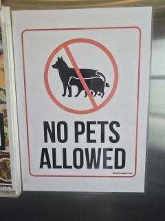 Beach Front Apartment - 6