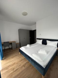 Dacia Apartments - Sebeş - 5