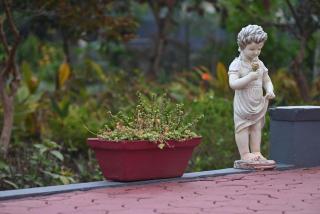 Kanadia Farm- a perfect retreat - 9