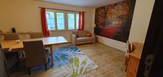 Ferienwohnungen 3 Birken - 1