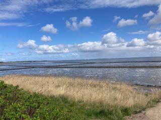 Appartement-Strandloeper-1-02 - Westerland - 5