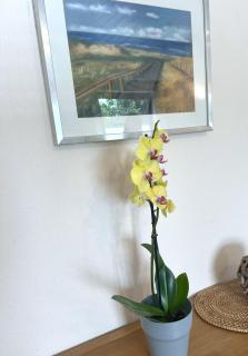 Appartement-Strandloeper-1-02 - Westerland - 3