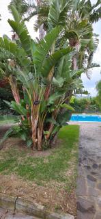 Principe by Penta Dream House - Campofelice di Roccella - 2
