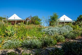 The Blomhuis Apartments - McGregor - 4