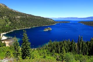 The Cozy Cub Cabin 7 Min to Lake - 3