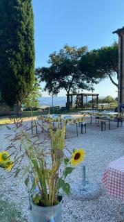 Filippo Agriturismo Casallario - Volterra - 1