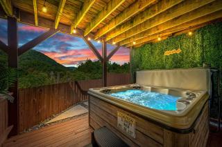 Mtn Views, HotTub, Sauna, Outdoor Theater, FirePit - Waynesville - 1