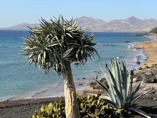 Sea view with direct access to boulevard - Puerto del Carmen - 6