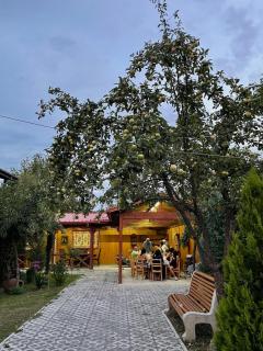 Guesthouse Edena - Ambrolauri - 8