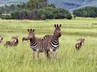 Riverbend on Komati - 3
