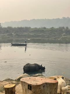 Bamby Chilling House - Feel The Nature - 1