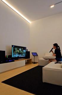 Designer house with cabin rooms - Gelang Patah - 4