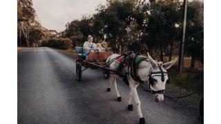 Gums n Roses by Tiny Away - 8