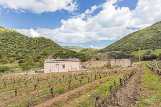 Podere Is Tres Fradis - Jerzu - 5