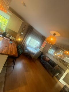 Stylish house in Dublin - Lucan - 1