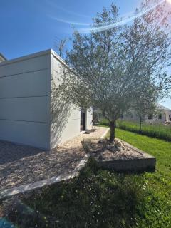 Au Bord de Loire - Chouzy-sur-Cisse - 5