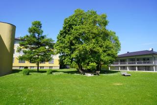 Kolpinghaus Ferlach - 3