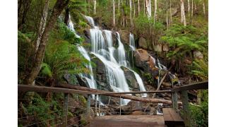 Rose Hill by Tiny Away - Neerim South - 8