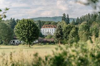 Schloss Ernegg - Steinakirchen am Forst - 6
