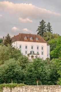 Schloss Ernegg - Steinakirchen am Forst - 8