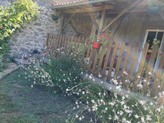 Les Ombelles - Saint-Estèphe - 4